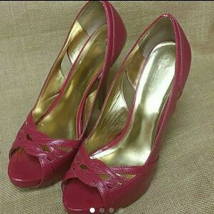 Charles fuchsia shoes
